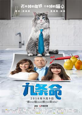 亚洲精品视频免费看
