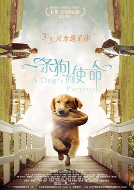 国产午夜精品一区二区三区