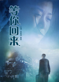 国内精品久久久久久久久野战