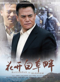 视频播放的软件有哪些