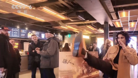 麻豆网站在线观看